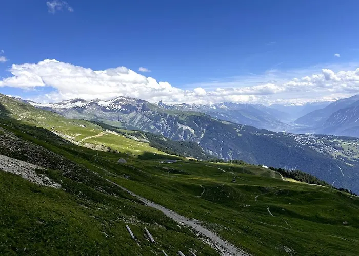 Cosy A Proximite Immediate Des Telecabines アパート