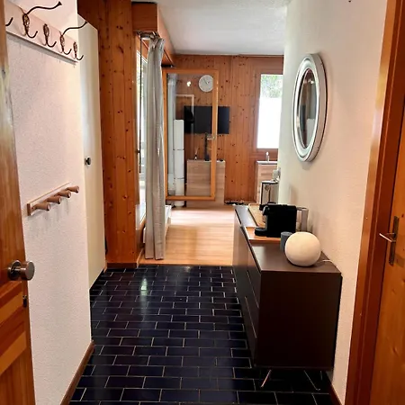 Cosy A Proximite Immediate Des Telecabines Apartment *